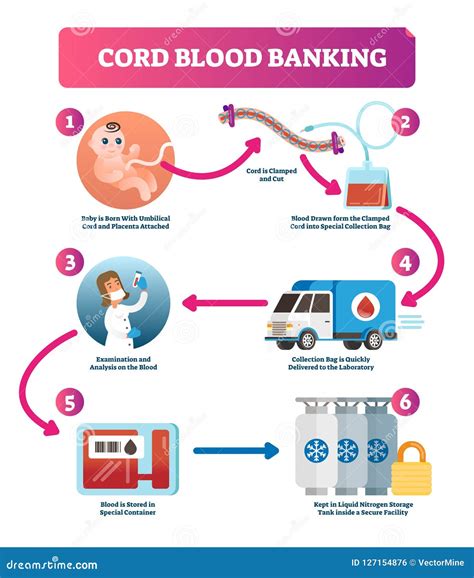 Cord blood .